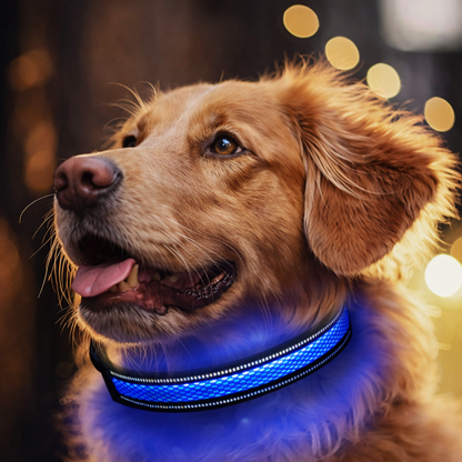 tiernah LED - Hundehalsband