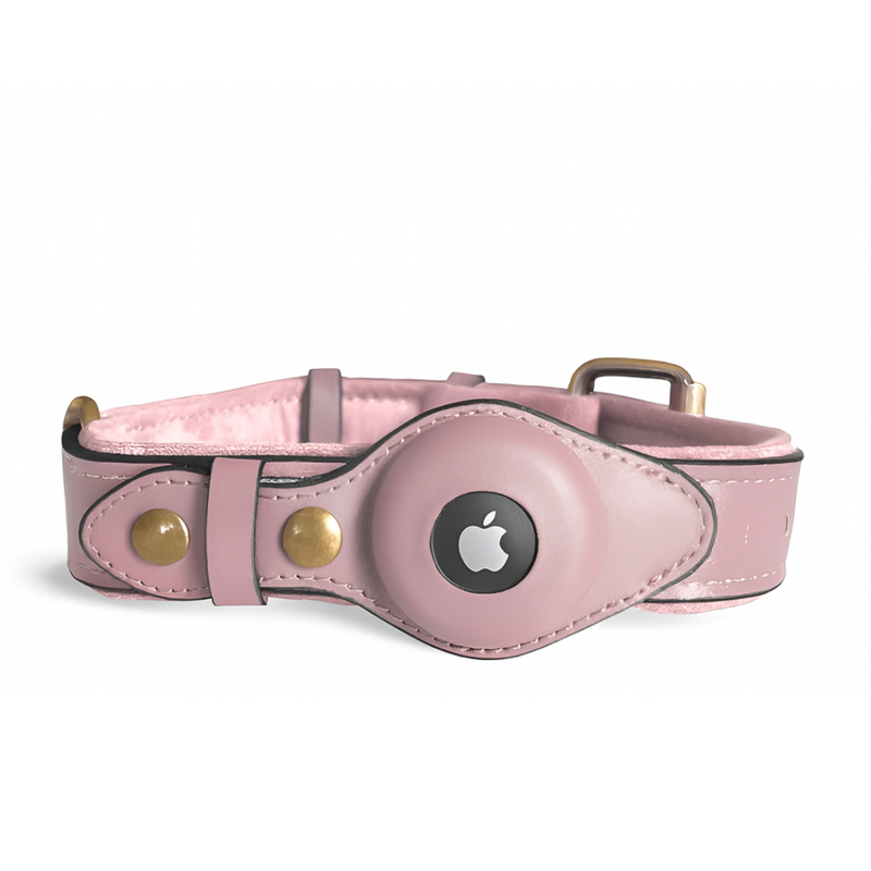 tiernah Airtag- Leder-Hundehalsband
