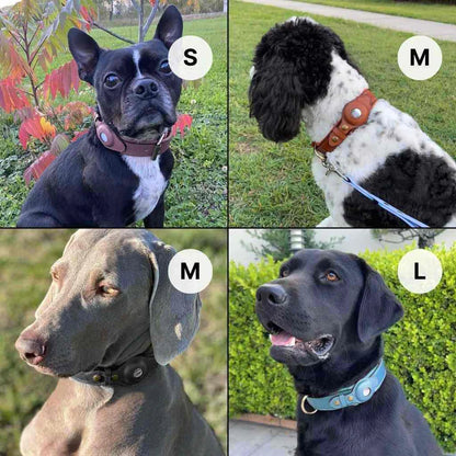 tiernah Airtag- Leder-Hundehalsband