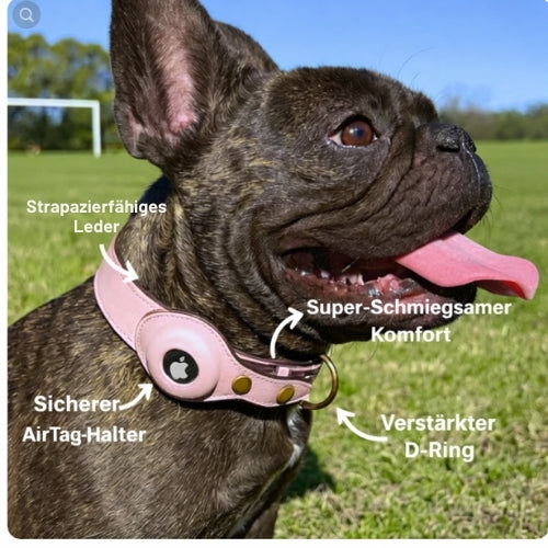 tiernah Airtag- Leder-Hundehalsband