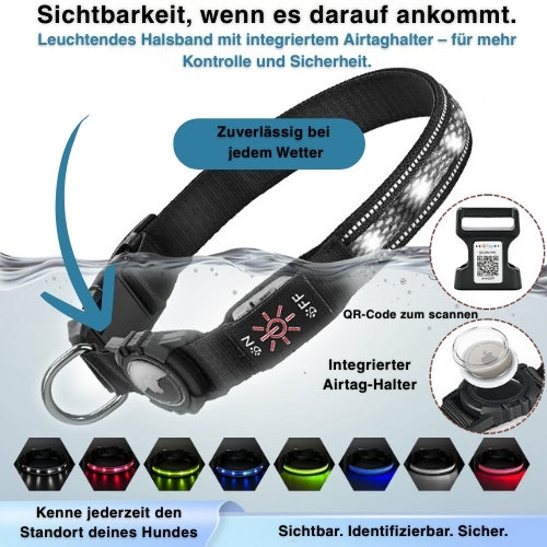 tiernah LED - Hundehalsband